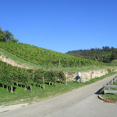Ferienwohnung Am Sulzbach Sulzburg Bagian luar foto